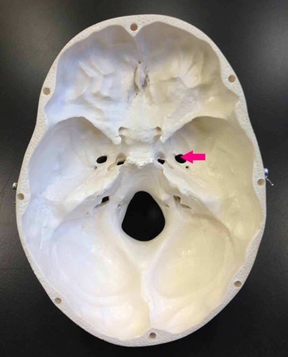 <p>Name the space</p>