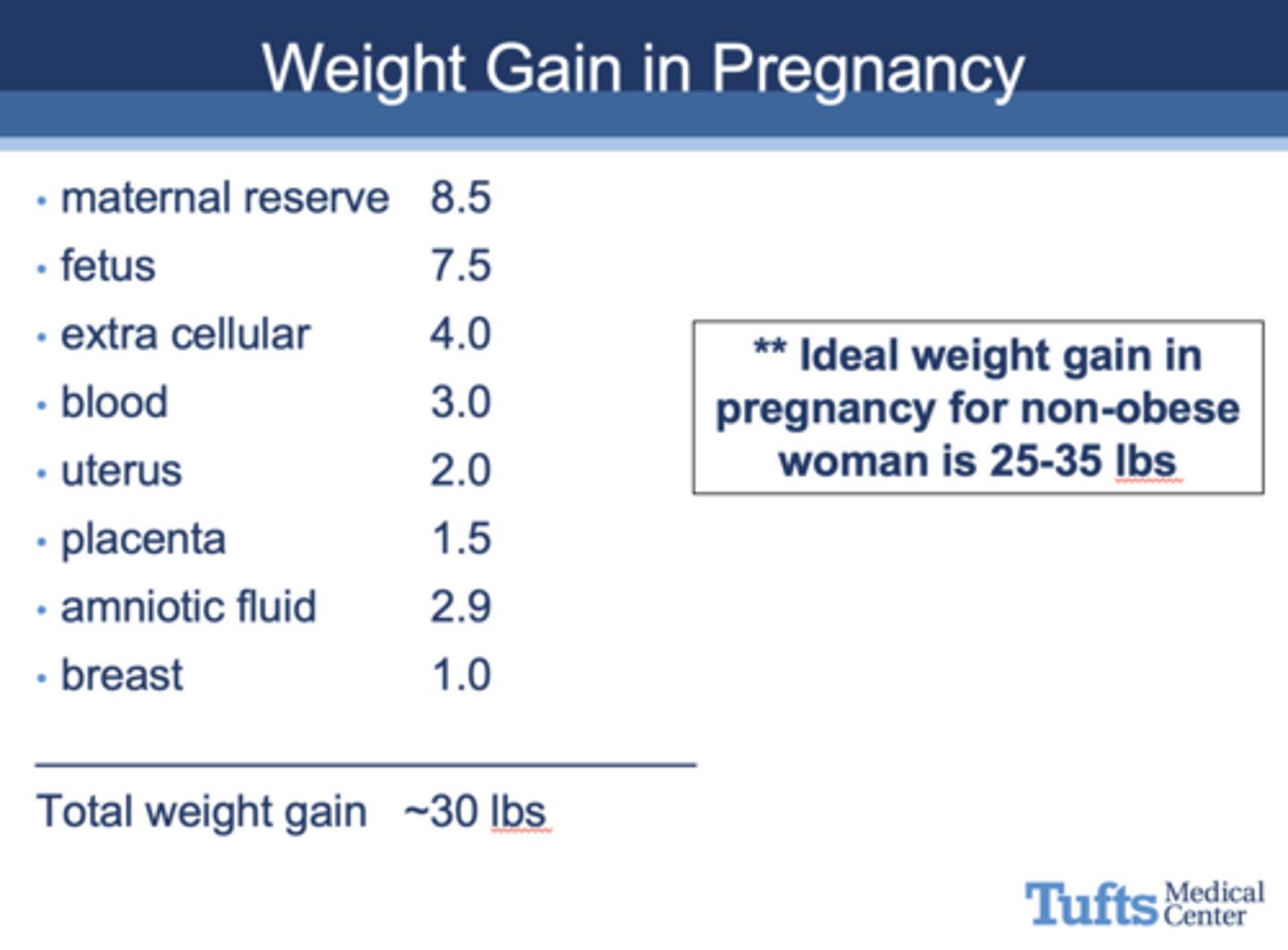 <p>25-35 lbs</p>