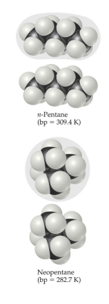 <ul><li><p>The shape of the molecule affects the strength of dispersion forces: long, skinny molecules (like n-pentane tend to have stronger dispersion forces than short, fat ones (like neopentane).</p></li><li><p>This is due to the increased surface area in n-pentane.</p></li></ul>