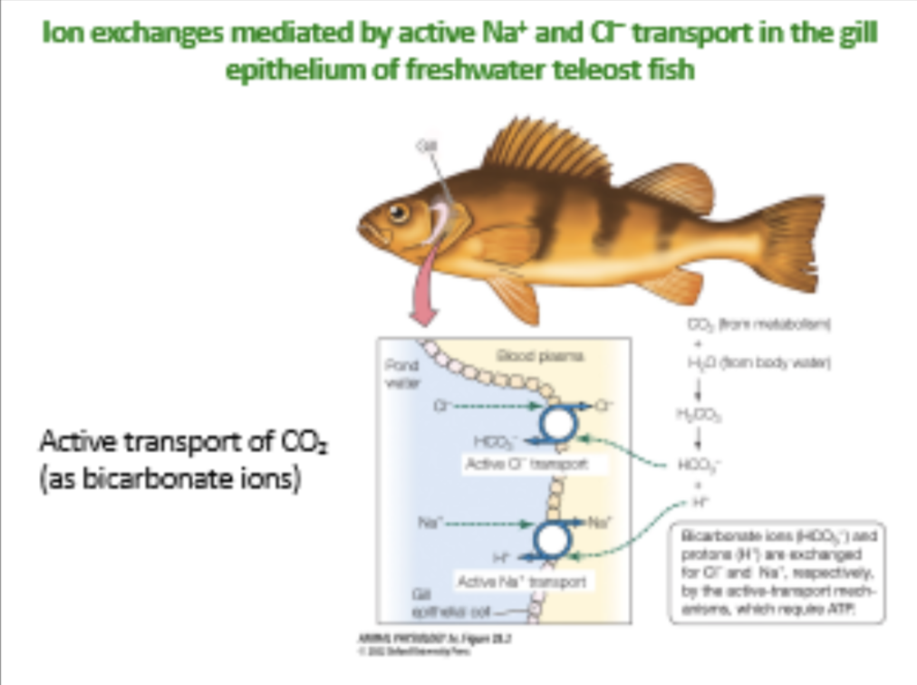 <p>what is the main idea of this photo? </p>