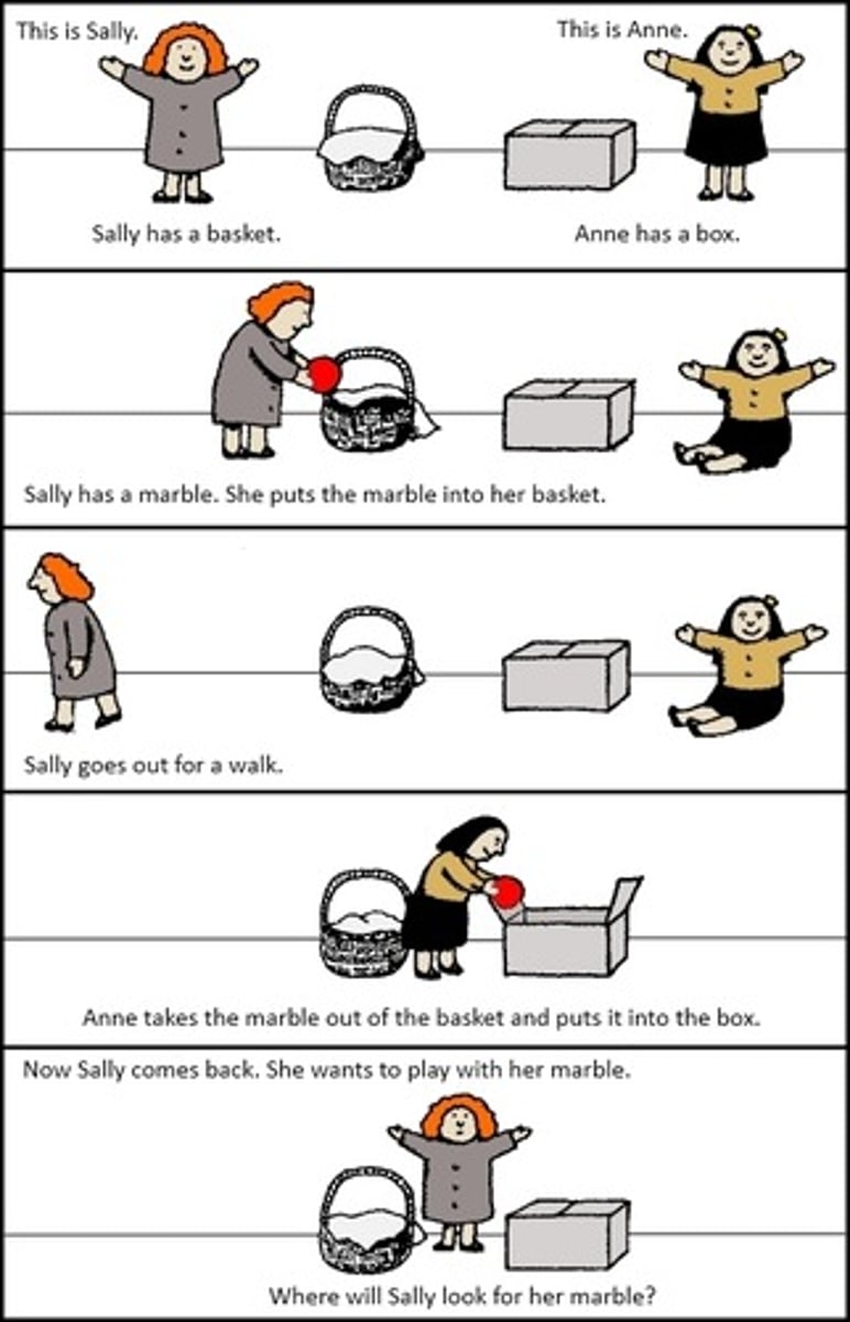 <p>We begin to understand that others can think and want differently from us.</p><p>- Key aspect of Social Cognition.</p><p>- Also in learning deception.</p>