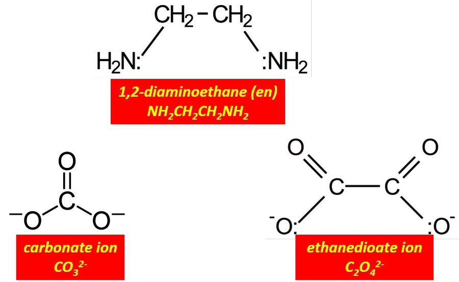 <p>Ethandioate ion, carbonate ion or <span>1,2-diaminoethane </span></p>