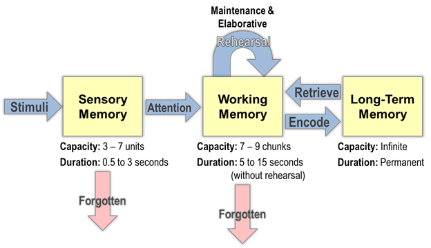 <p>a three-step process: encoding</p>