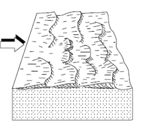 <p>What kind of ripples are these? What flow regimes do they form in?</p>