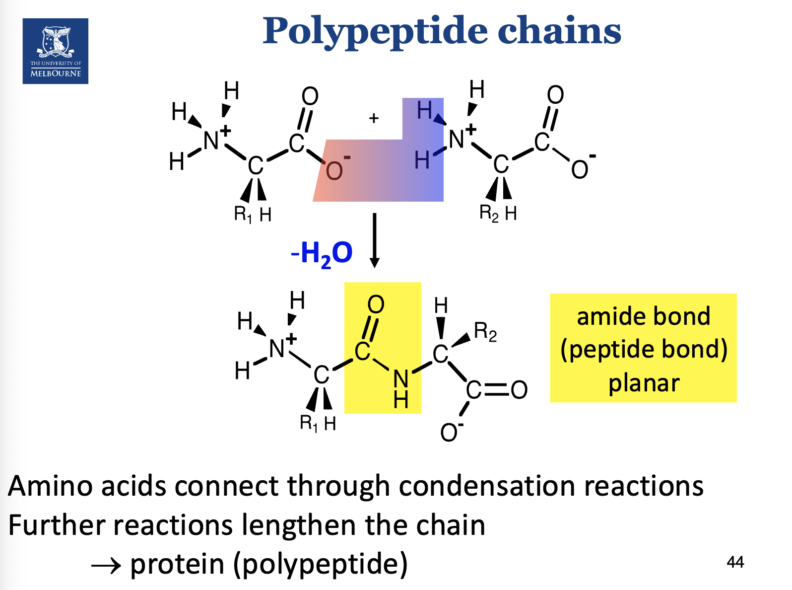 <p>Just say peptide bond.</p>