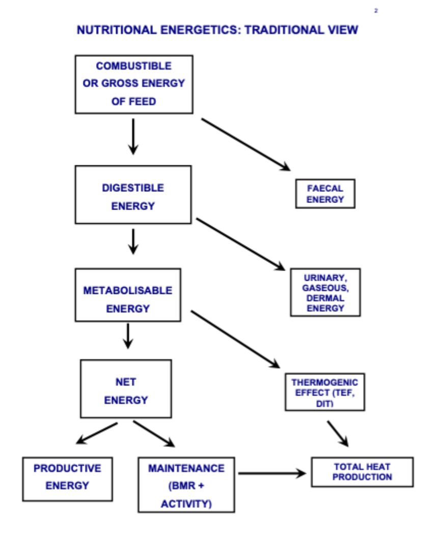 <p>TEF- thermogenic effect of food</p><p>DIT- diet induced thermogenesis </p><p>FED/ DIT = total heat production</p>