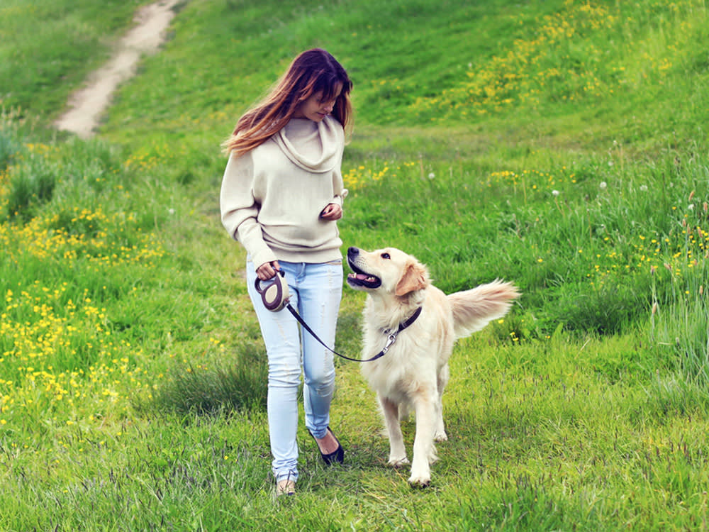 <p>Walking the dog</p>