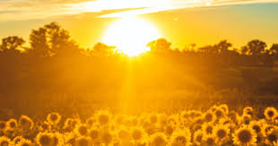 Sunshine