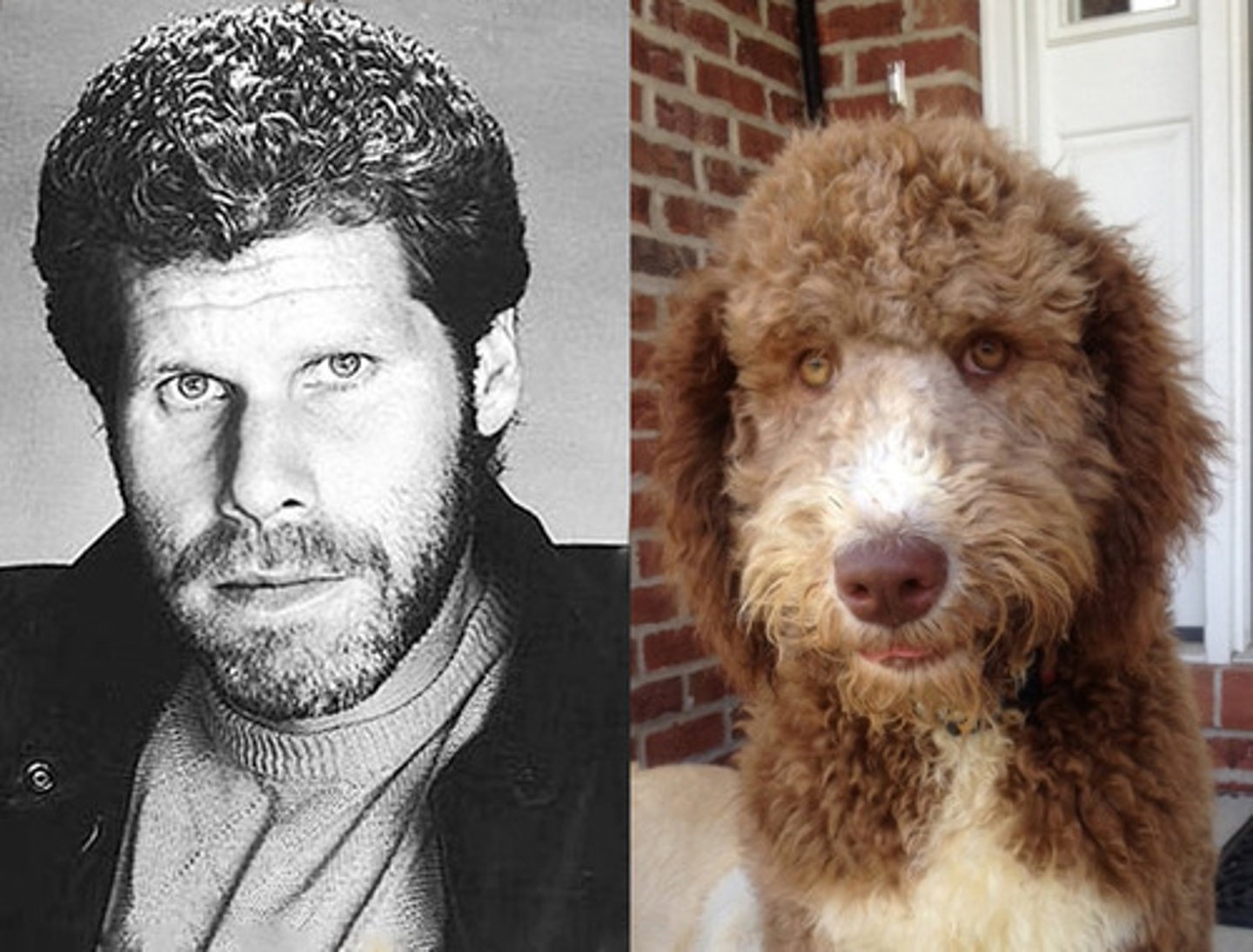 <p>soortgelijke dingen lijken op elkaar</p>