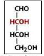 <p>What is this?</p>