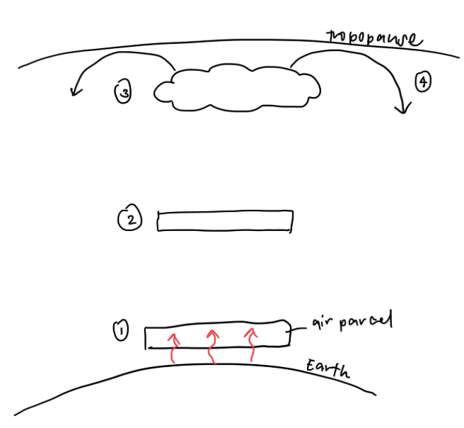 <ol><li><p><span style="font-family: Arial, sans-serif">Due to transfer of heat from earth’s surface to air parcel above, air parcel is warmer than surrounding air, causing it to expand, lower in density and rise</span></p></li><li><p><span style="font-family: Arial, sans-serif">As it rises, it continues to undergo further expansion and adiabatic cooling (where temperature decreases due to expansion)</span></p></li><li><p><span style="font-family: Arial, sans-serif">Potential to hold water vapour decreases, relative humidity increases, air parcel becomes saturated and condensation occurs forming clouds</span></p></li><li><p><span style="font-family: Arial, sans-serif">When it reaches the tropopause, it will diverge polewards and start to cool</span></p></li></ol><p></p>