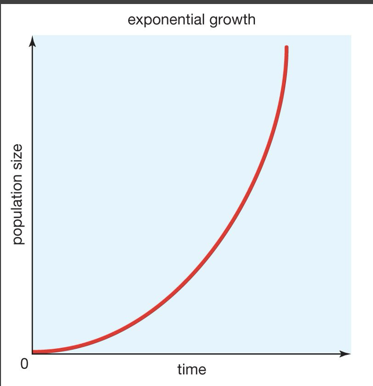 <p>is the exponential growth curve (j-shaped) realistic?</p>