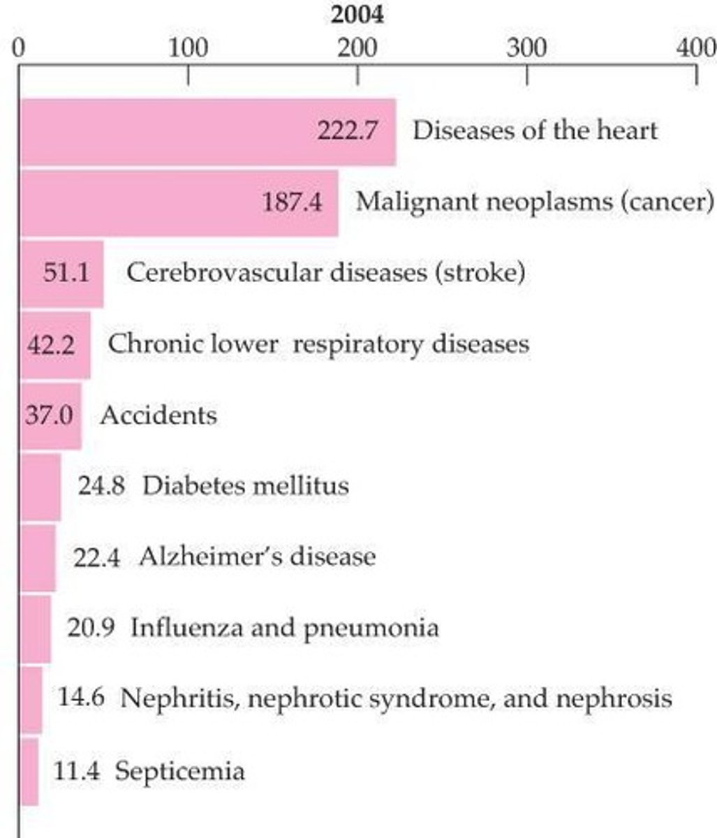 <p>Cancer, heart disease, diabetes, and Alzheimer's.</p>