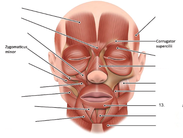 <ol start="13"><li><p></p></li></ol><p></p>