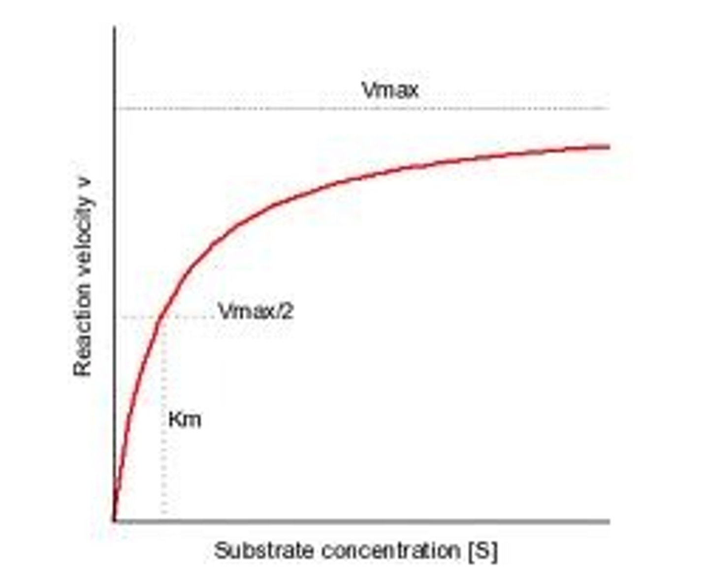 <p>The point on a hyperbolic plot/during an enzyme assay at which the maximum rate of substrate to product conversion is reached and the line begins to level out. This is often used to indicate the maximum rate of enzyme activity, however it is only approximate as the plot line never completely levels out.</p>