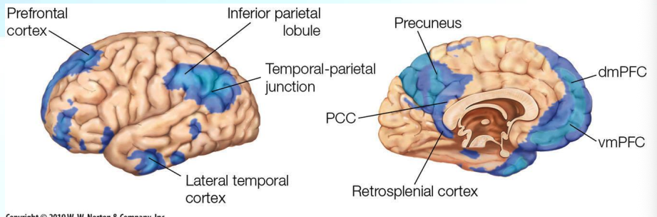 <p>• Combined data from nine positron emission tomography (PET) studies showing the regions that were most active during passive tasks (in blue), which is referred to as the default mode network (DMN). The lateral (left) and medial (right) surfaces of the left hemisphere are shown.</p><p>• Activity in the dorsomedial prefrontal cortex (dmPFC) increases during tasks that involve self-referential mental activity or self-focused attention and decreases during tasks that involve externally focused attention.</p><p>• This finding is consistent with the observation that during goal-directed behaviors, self focused attention decreases, and it also indicates that at baseline, some degree of selfreferential mental activity should be engaging this region—a suggestion that has been supported by functional imaging data.</p>