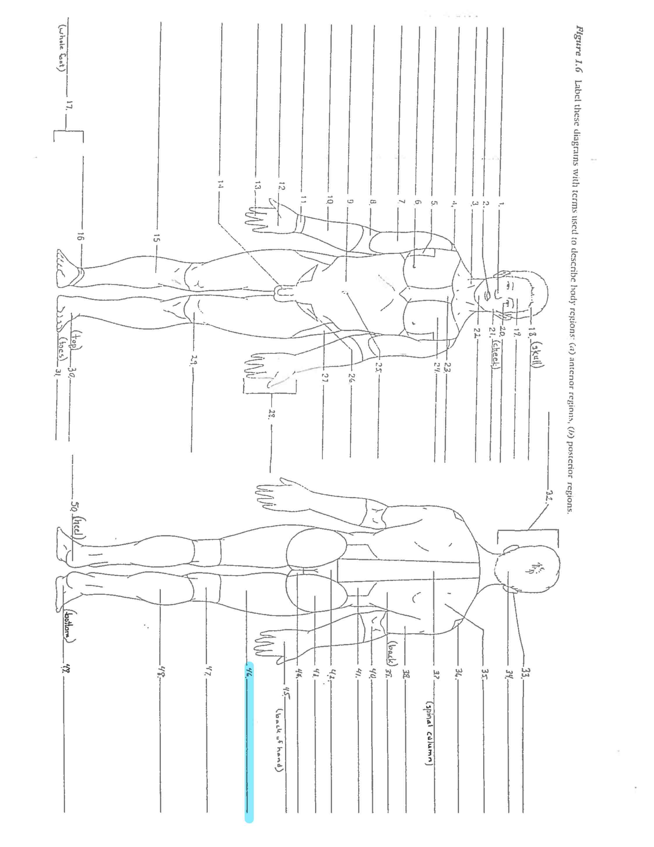 <p>Line 46 </p>