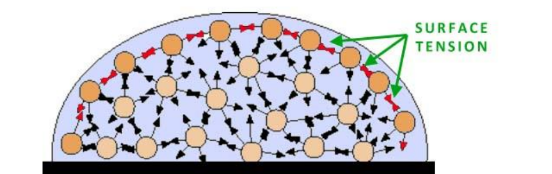 <ul><li><p>Surface molecules are more strongly attracted to their neighboring molecules in the liquid due to fewer molecules in the adjacent vapor phase.</p></li><li><p>This imbalance in forces at the liquid's surface results in surface tension.</p></li><li><p>Equivalent to surface energy/interfacial energy</p></li><li><p>Forms spherical shape to minimize energy</p></li></ul><p></p>