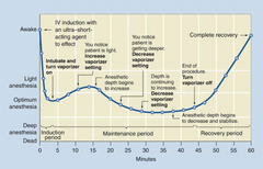 <p>IV induction and inhalational maintenance</p>