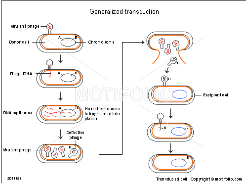 <p>leg deze afbeelding uit</p>