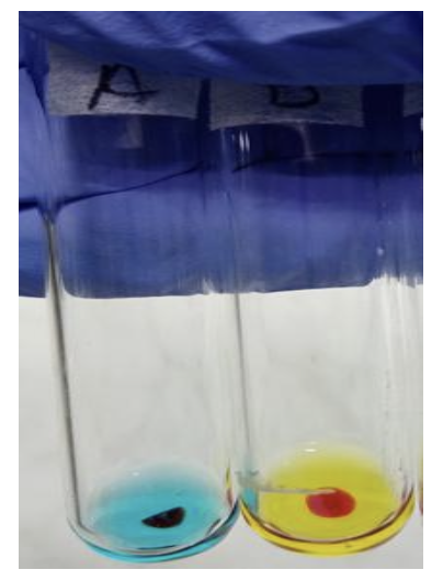 <ul><li><p><strong>Blood Group:</strong> AB</p></li></ul><ul><li><p><strong>Antibody/Antibodies Present:</strong> None</p></li><li><p><strong>Antigen(s) Present:</strong> A and B</p></li></ul><p></p><ul><li><p><strong>Anti-A Sera: </strong>4+</p></li><li><p><strong>Anti-B Sera:</strong> 4+</p></li></ul><p></p>