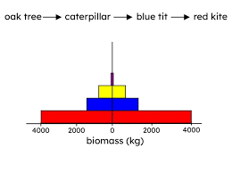 <p>describe what is happening to each organism</p>