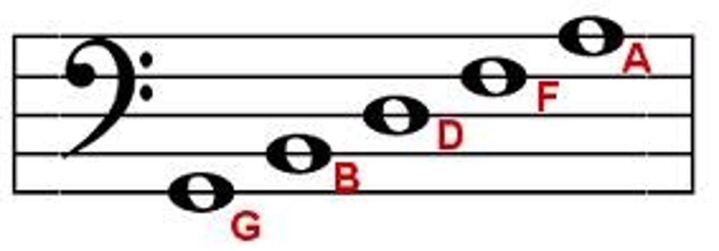 <p>Lines: Good Boys Do Fine Always (G, B, D, F, A)</p><p>Spaces: All Cows Eat Grass (A, C, E, G)</p>