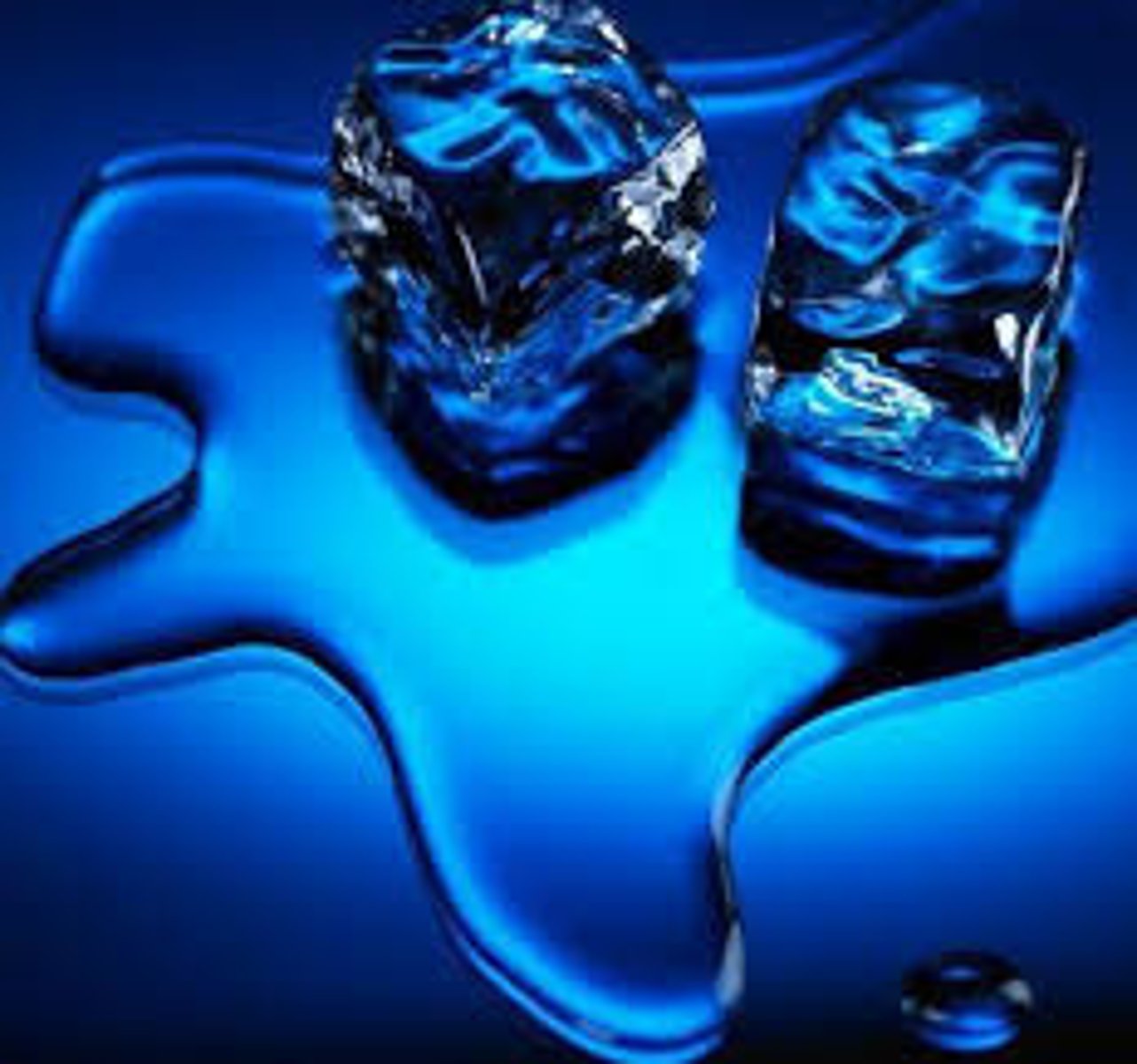 <p>A reaction in which energy is absorbed or enters</p>