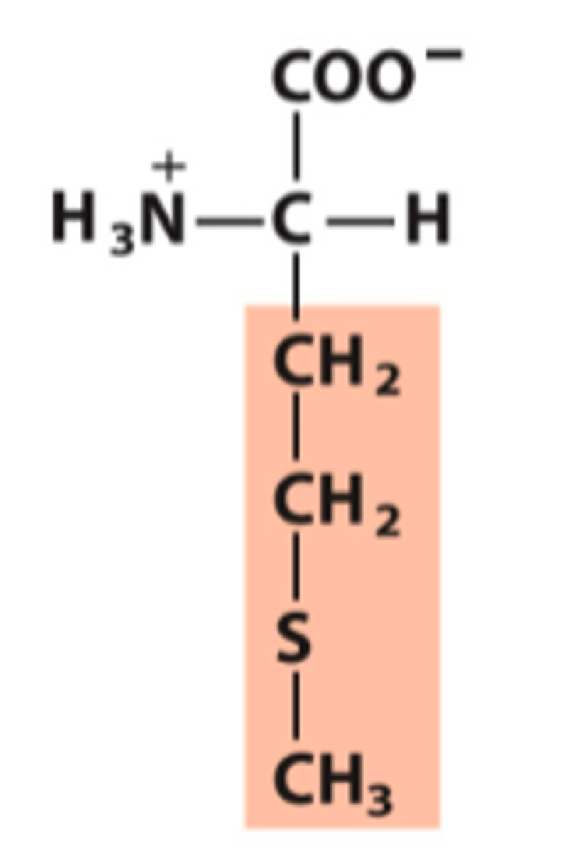 <p>What amino acid is this?</p>