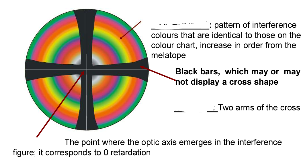 <p>What type of interference figure is this + label the elements</p>