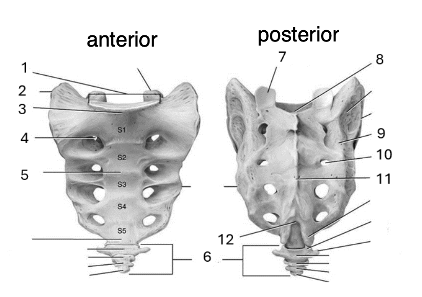 <p>5</p>