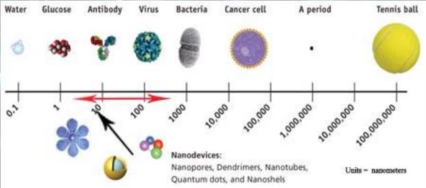 Nanomaterials are about the same size as?