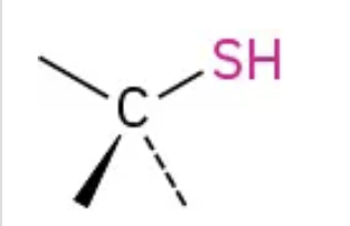 <p>Sulfer and hydrogen (SH)</p>