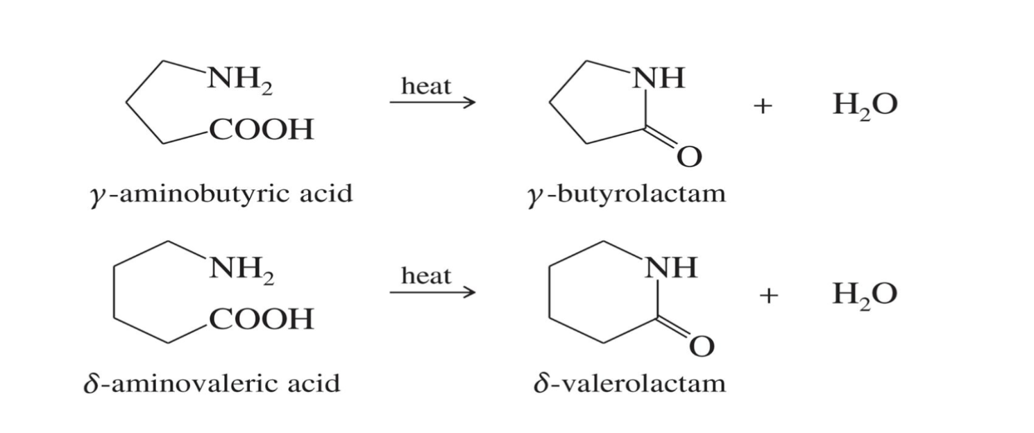 <p>Starting : </p><ul><li><p>An <strong>amino acid</strong> (a molecule with both -NH₂ and -COOH groups</p></li></ul><p>Reagent </p><ul><li><p>Heat</p></li></ul><p>End product</p><p> Lactam → cyclic amide</p>