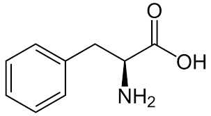 <p>Phe, F</p><p>nonpolar, uncharged</p>