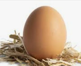 <p><span style="color: green;">das Ei</span></p>