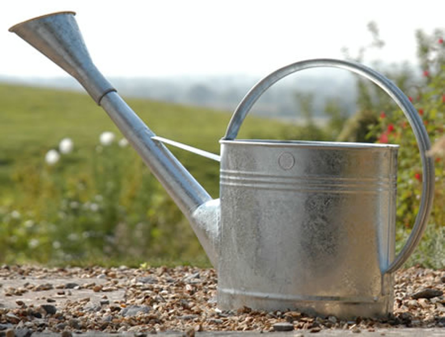 <p>a watering can</p>