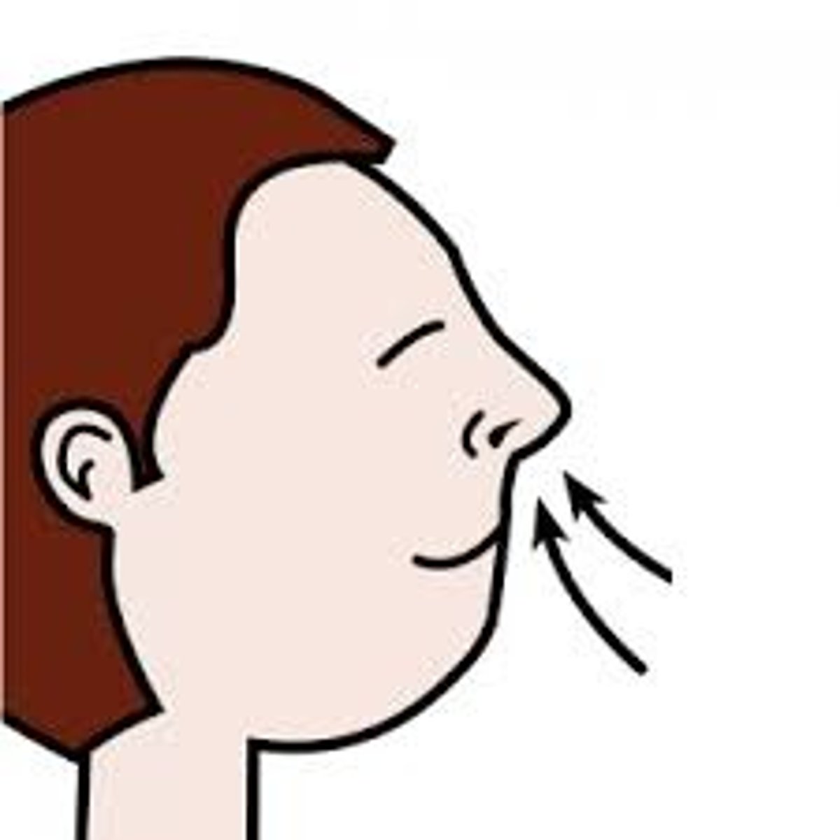 <p>breathing</p>