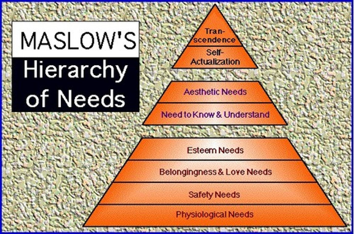 <p>A description of the needs that motivate human behavior. In 1943, Abraham Maslow proposed five different kinds of human needs, beginning with the most basic: survival. Physiological needs, such as food and shelter, are followed by needs related to safety. Next, there are needs of love and belonging. Fourth, humans have needs of esteem, such as the need for being respected. The final need in the hierarchy is the need for self-actualization (fulfilling one's potential). The hierarchy suggests that basic needs must be met prior to less basic needs; for example, a starving person will seek food before self-actualization.</p>