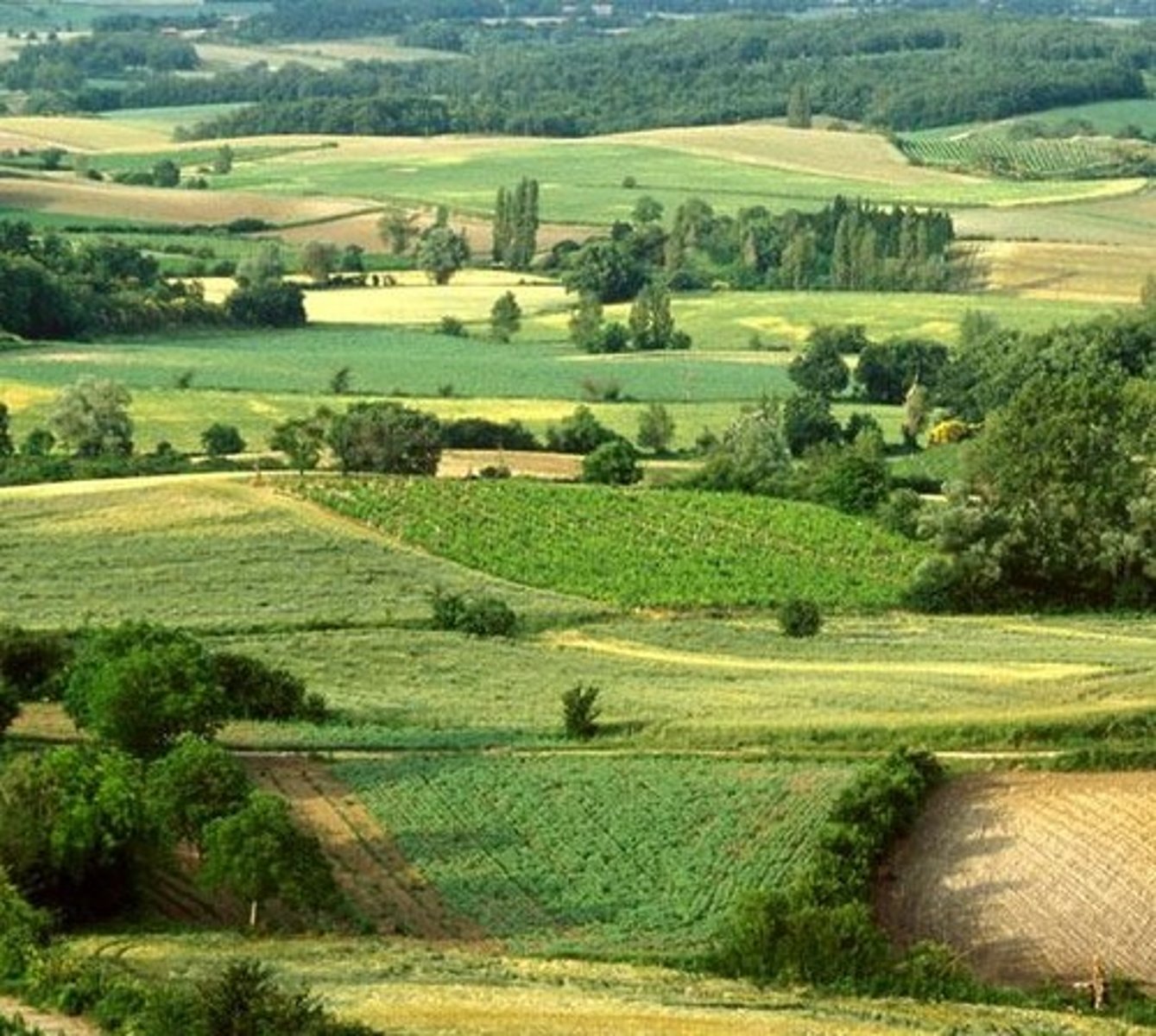 <p>in the countryside</p>