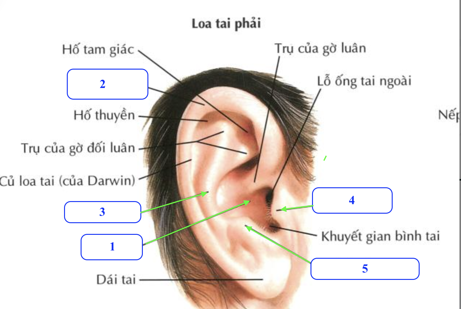 <p>Chi tiết số 1 là gì ?</p><p>Chi tiết số 2 là gì ?</p><p>Chi tiết số 3 là gì ?</p><p>Chi tiết số 4 là gì ? </p><p>Chi tiết số 5 là gì ? </p>