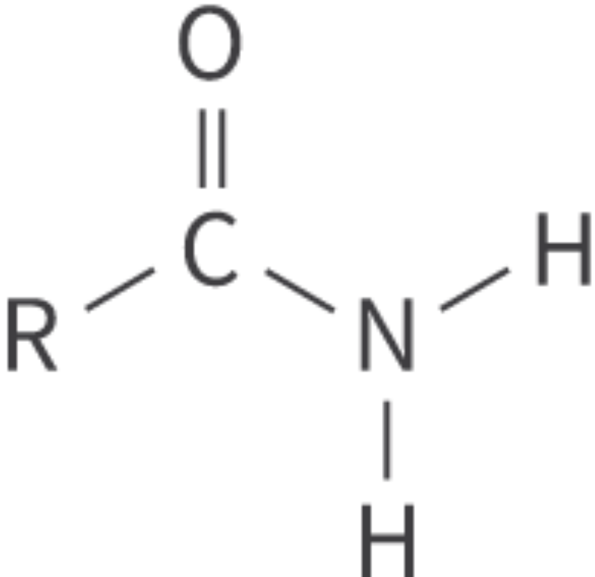 <p>Amides</p>