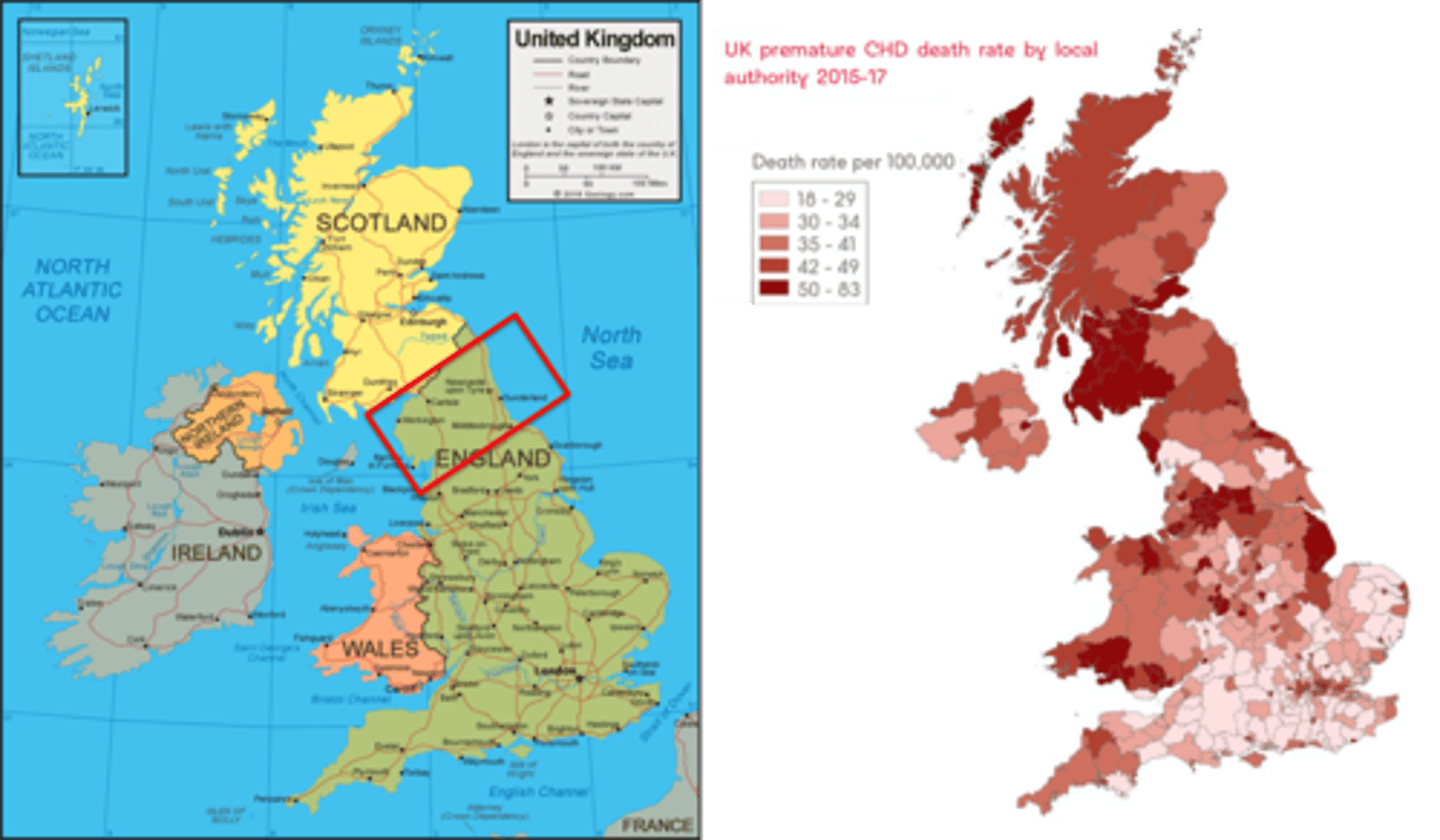 <p>highest rates in Scotland and north of England</p>