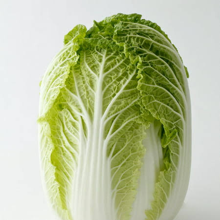 <p>Cabbage, Chinese</p>