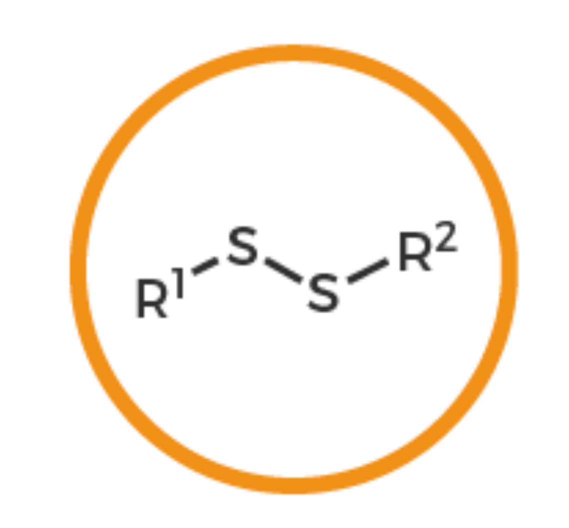 <p>Two Sulfurs bonded together and to their own R groups</p>