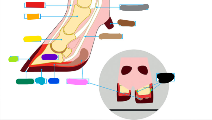 <p>What is the pink?</p>