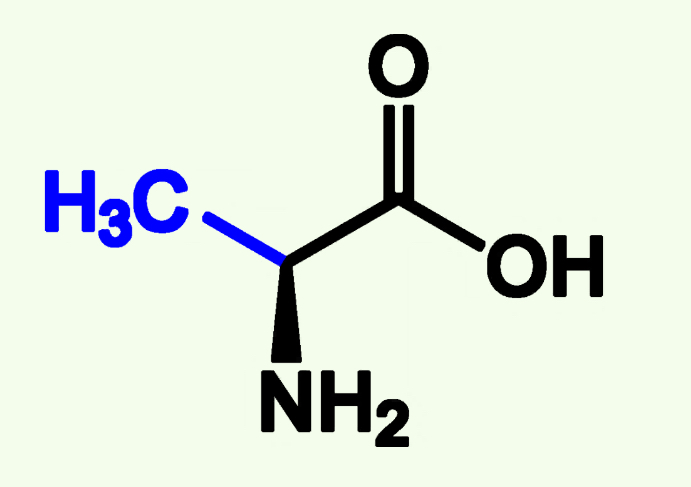 <p>Ala (A)</p><p>Non Polar</p><p>Alkyl Chain</p>