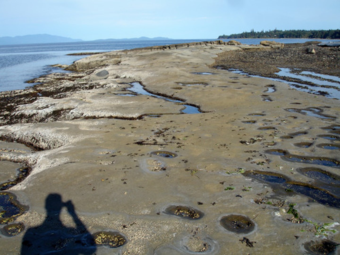 <p>the narrow band of coastline between the levels of high tide and low tide</p>