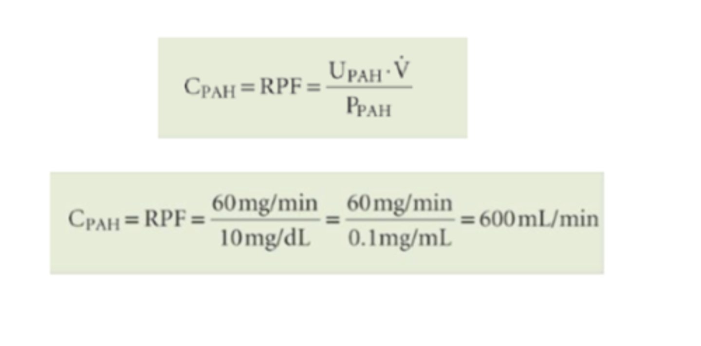 <p>b/c kidneys almost completely clear blood of PAH in a single pass so it's a good measure of RPF ==&gt; filtered in glomerulus &amp; isn't reabsorbed</p><p>PAH clearance = RPF</p>