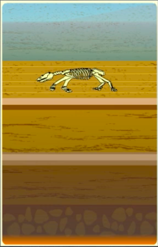 <p>Remains are Covered with Layers of Sediment</p>